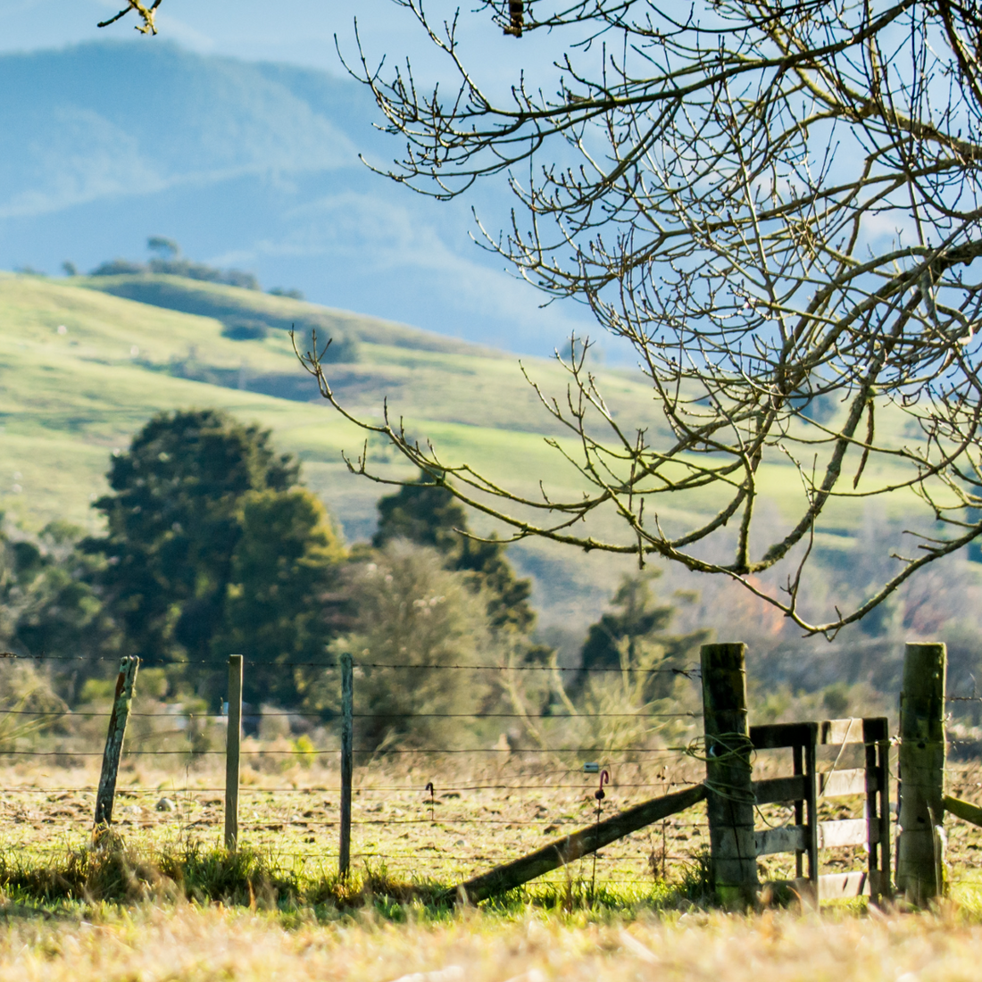 Why Sustainability in Skincare Matters