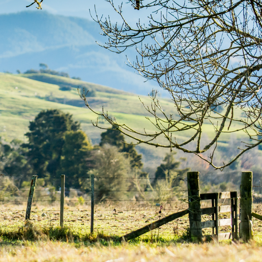 Why Sustainability in Skincare Matters