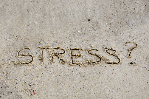 Eczema & stress: the link