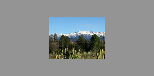 mountains in winter