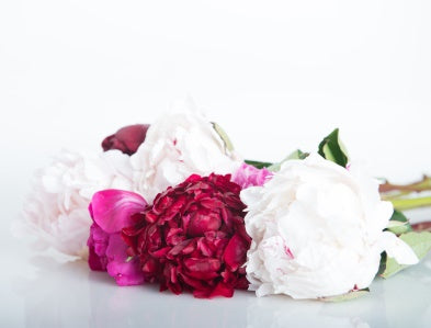 Natural Skincare Range